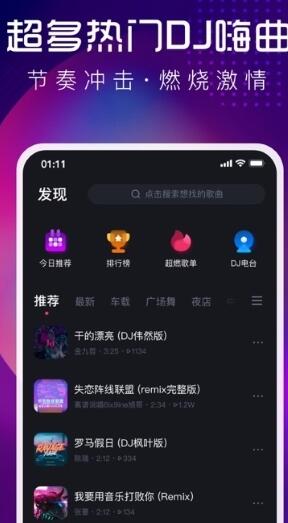 DJ资源下载，探寻音乐世界的无尽宝藏