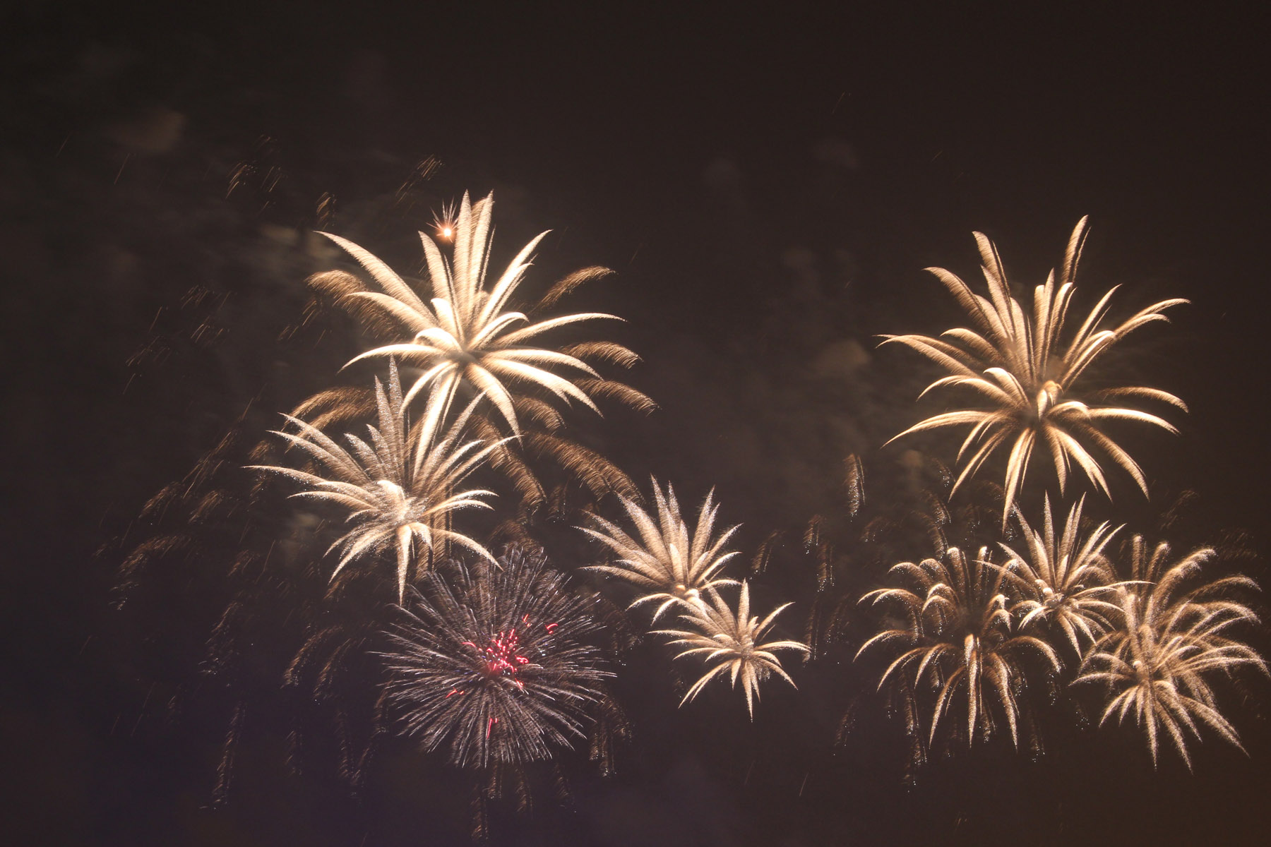 新年烟花璀璨下载，数字时代的庆祝盛典