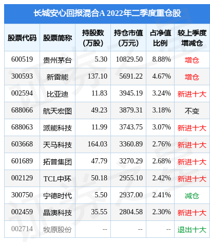 长城安心回报最新净值解析及前景展望