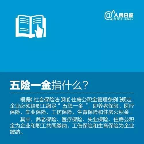 五险最新规定及其对社会的深远影响