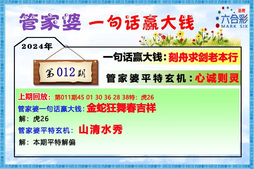 2024年澳门管家婆三肖100%,详细解读定义方案_9DM25.871