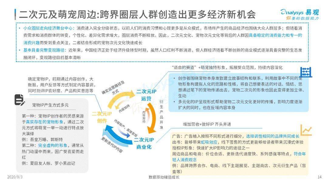 新奥门特免费资料大全,经济性执行方案剖析_Console92.331