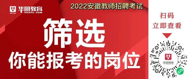 亳州厨师招聘最新信息，探寻美食背后的专业团队力量