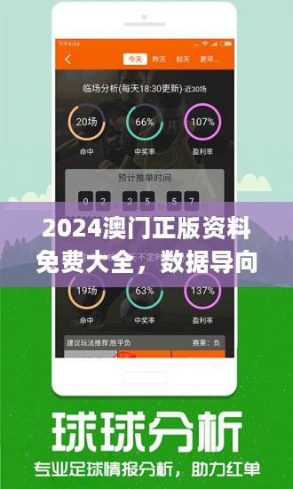 2024年新澳门王中王免费,持续设计解析策略_T94.172