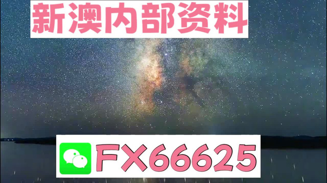 2024新澳天天免费资料,实地验证分析_pro53.202