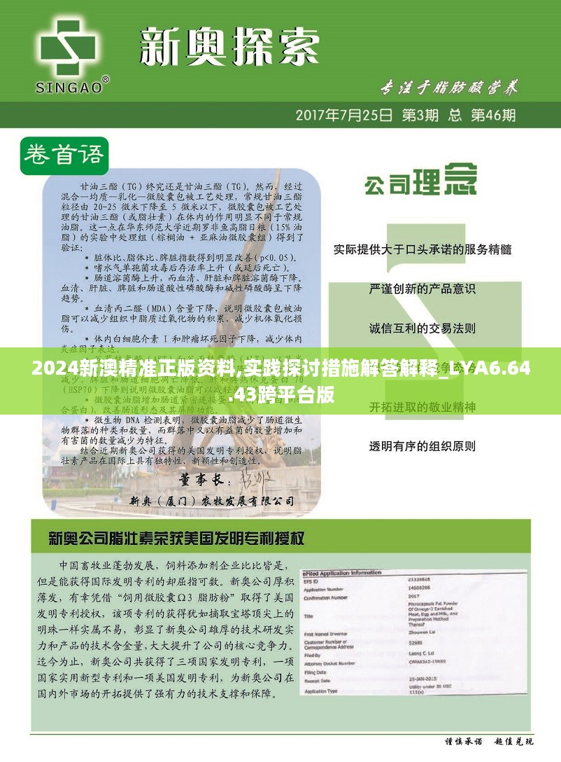 新澳2024年精准资料32期,高效性计划实施_U84.175