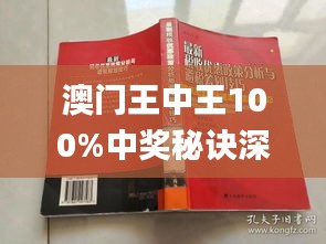 新澳门王中王100%期期中,数据驱动执行决策_W47.100