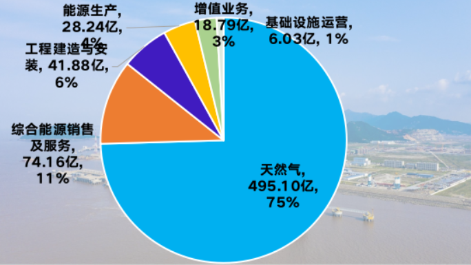 2024年新奥梅特免费资料大全,全面数据策略解析_薄荷版19.115