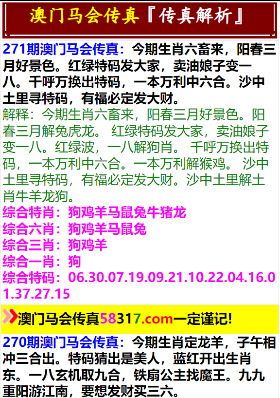 澳门一肖一码一一子中特,数据资料解释定义_苹果版96.722