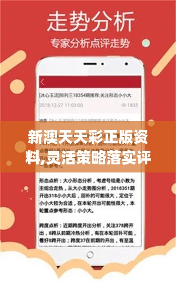 新澳天天免费资料单双大小,科学化方案实施探讨_uShop94.906