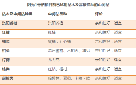 新澳天天开奖资料大全最新54期129期,预测说明解析_DP37.997