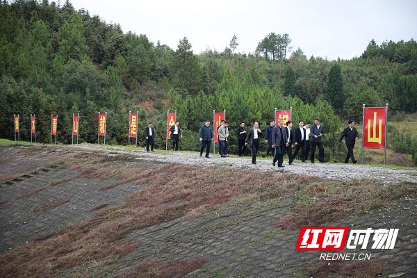 新隆镇未来繁荣蓝图，最新发展规划揭秘