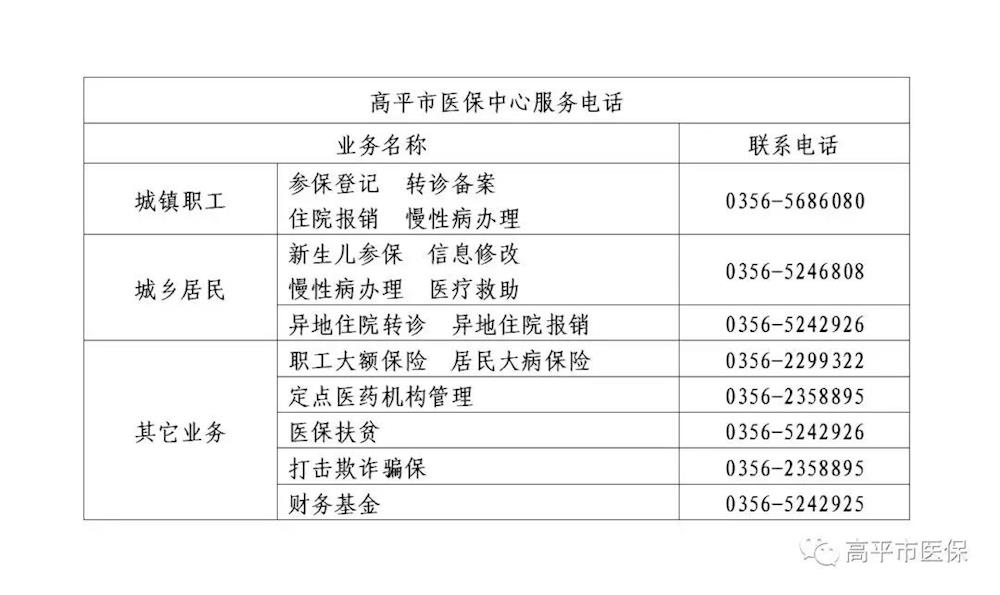 平陆县医疗保障局最新项目概览与动态分析