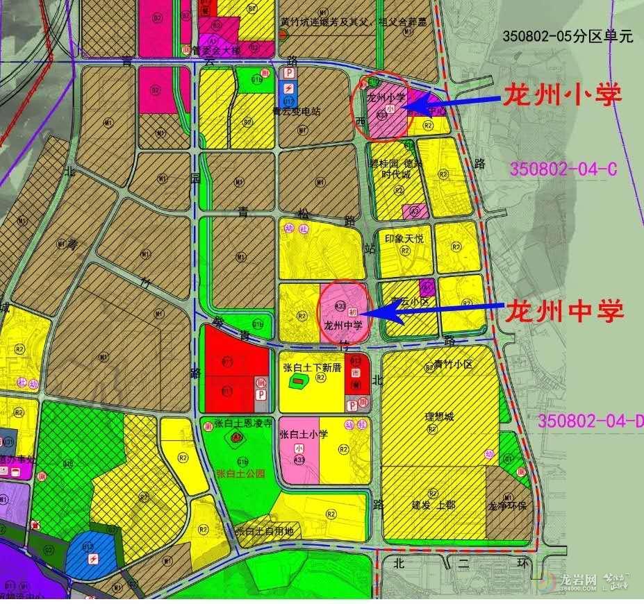 你怎样会心疼我的心疼 第2页