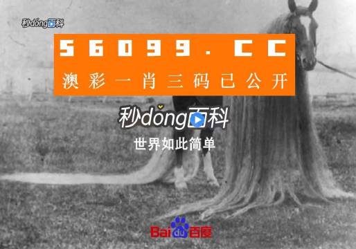 今晚一肖一码澳门一肖com,动态解析词汇_QHD24.79