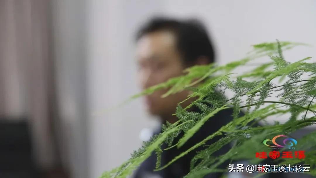 雪后初暖阳 第2页