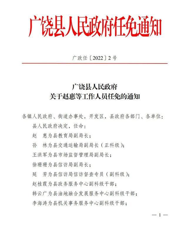 卢氏县医疗保障局人事任命动态解析