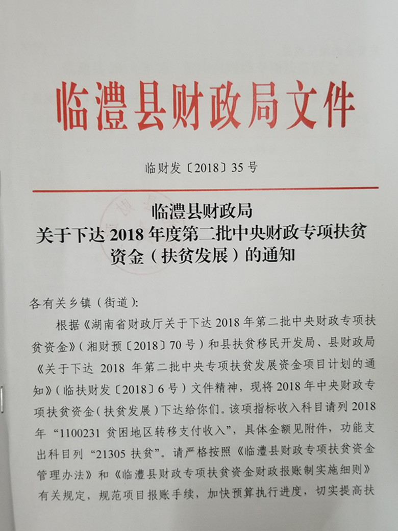 临澧县财政局发展规划，构建现代化财政体系，推动县域经济高质量发展新篇章