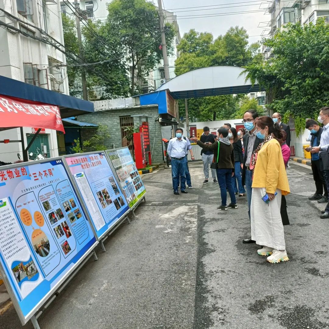 太阳街道交通状况持续改善，居民出行更便捷，最新交通新闻汇总