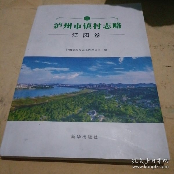 泸州市地方志编撰办公室新项目，传承历史，筑梦未来