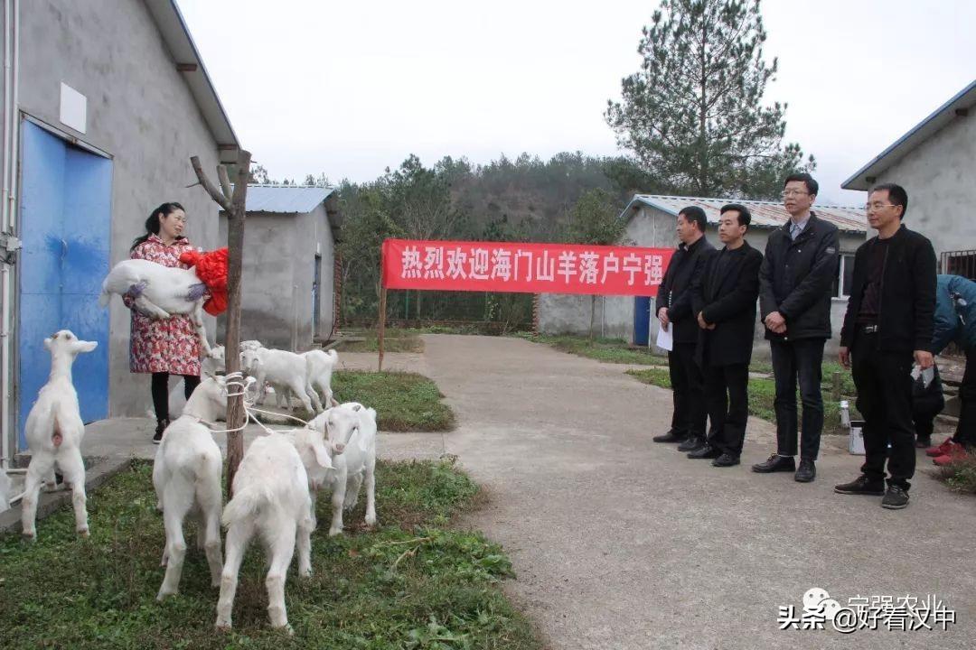 海门市水利局最新动态报道