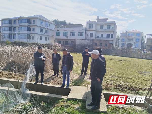 郦家坪镇未来繁荣蓝图，最新发展规划揭秘