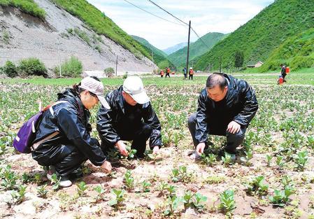 定西市安全生产监督管理局最新动态报道