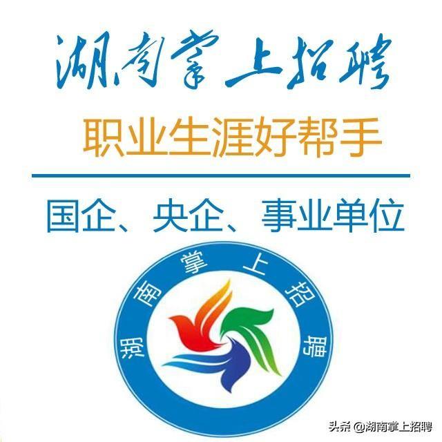 开福区市场监督管理局最新招聘公告概览