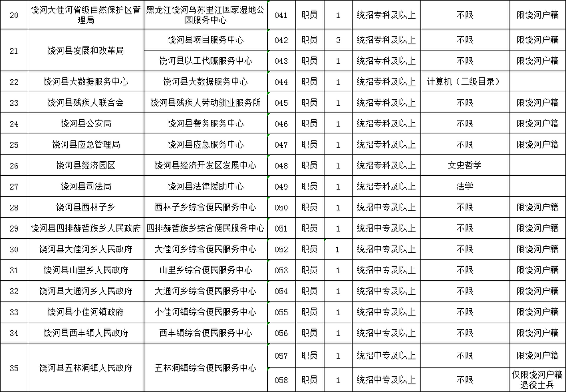 冷水江市数据和政务服务局招聘公告解析