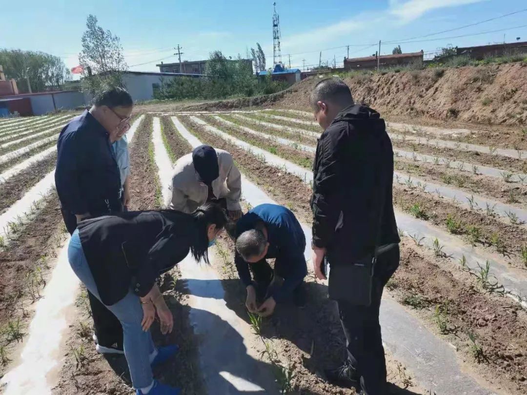 五寨县农业农村局新项目推动农业现代化助力乡村振兴