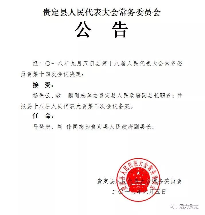 德保县人民政府办公室人事任命，构建新时代政府管理团队新篇章