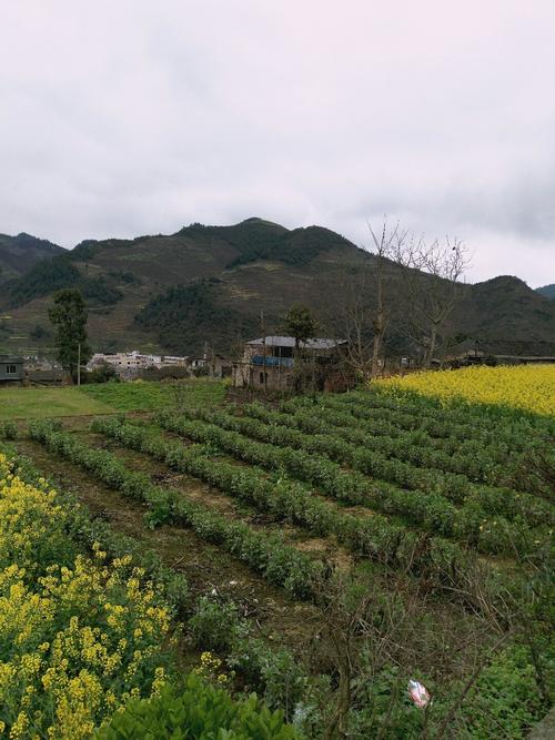 燕门乡天气预报更新通知