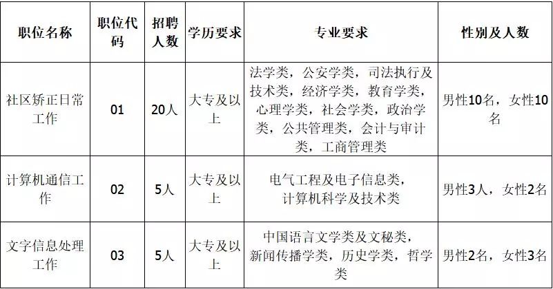 文安县数据和政务服务局招聘公告详解