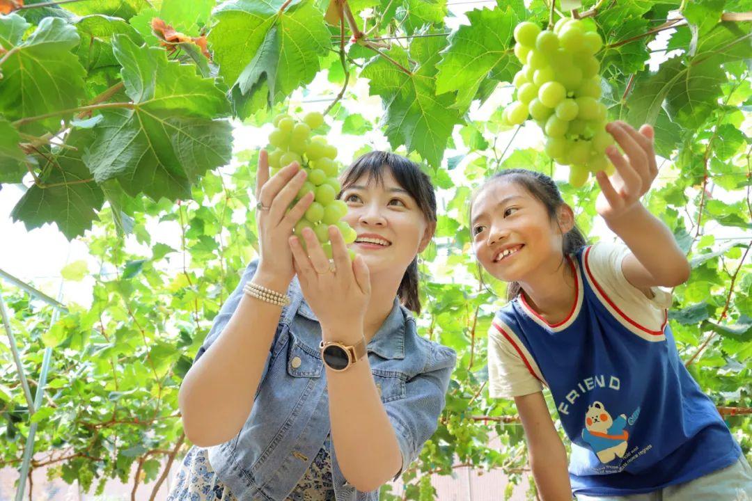 智号村委会交通新闻更新