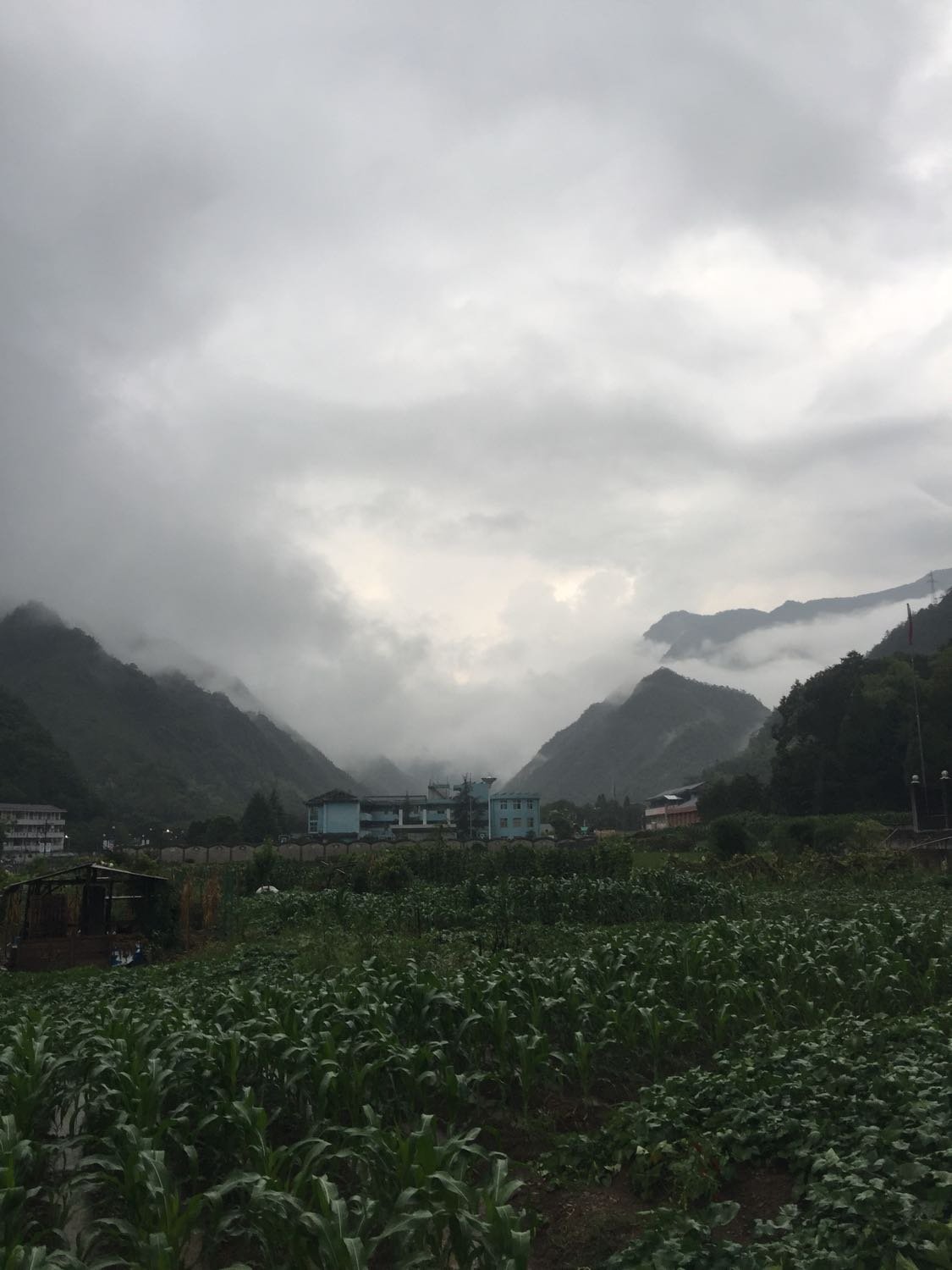 大雪山乡天气预报更新通知