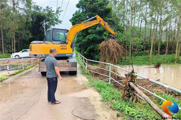 大南坂镇交通新动态，发展助力地方繁荣